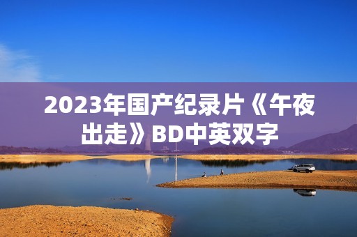 2023年国产纪录片《午夜出走》BD中英双字