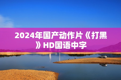 2024年国产动作片《打黑》HD国语中字