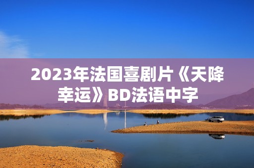 2023年法国喜剧片《天降幸运》BD法语中字