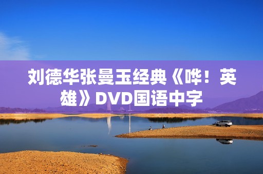 刘德华张曼玉经典《哗！英雄》DVD国语中字