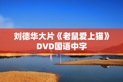 刘德华大片《老鼠爱上猫》DVD国语中字