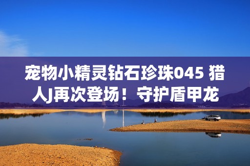 宠物小精灵钻石珍珠045 猎人J再次登场！守护盾甲龙！？