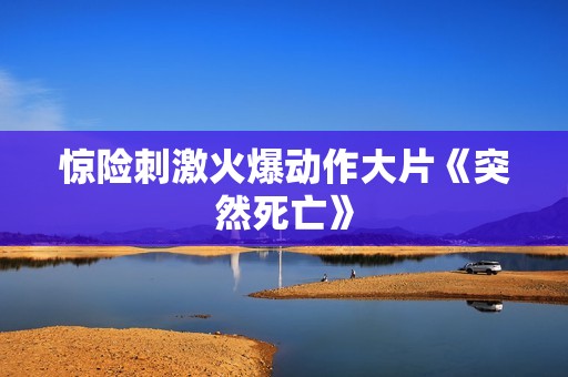 惊险刺激火爆动作大片《突然死亡》
