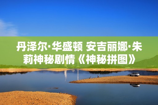丹泽尔·华盛顿 安吉丽娜·朱莉神秘剧情《神秘拼图》