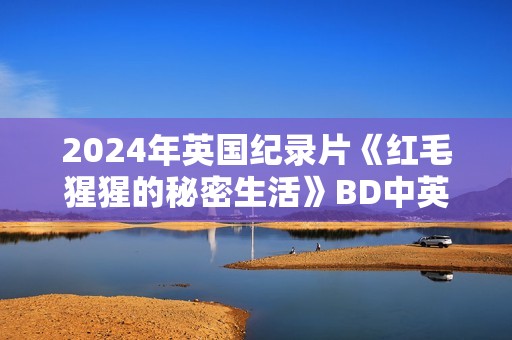 2024年英国纪录片《红毛猩猩的秘密生活》BD中英双字