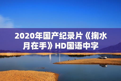 2020年国产纪录片《掬水月在手》HD国语中字