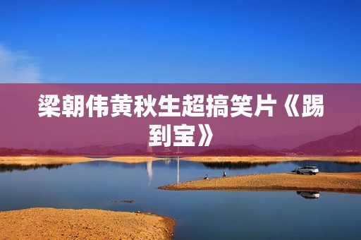 梁朝伟黄秋生超搞笑片《踢到宝》