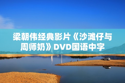 梁朝伟经典影片《沙滩仔与周师奶》DVD国语中字