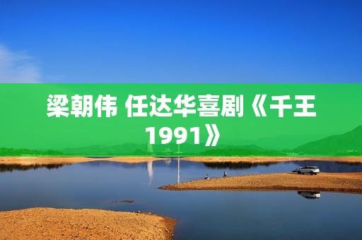 梁朝伟 任达华喜剧《千王1991》