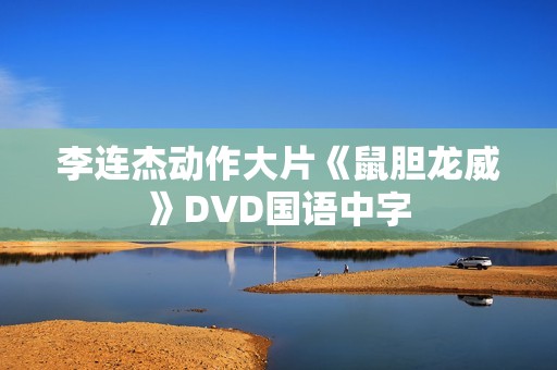 李连杰动作大片《鼠胆龙威》DVD国语中字