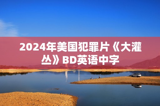 2024年美国犯罪片《大灌丛》BD英语中字