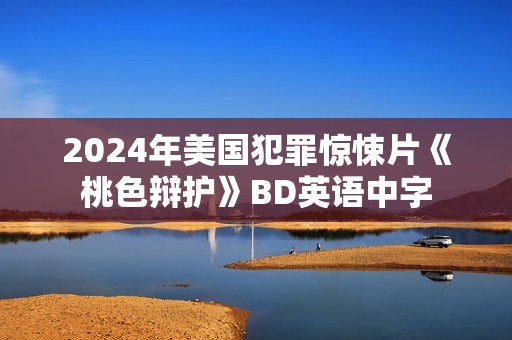 2024年美国犯罪惊悚片《桃色辩护》BD英语中字