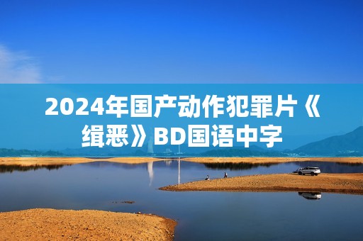 2024年国产动作犯罪片《缉恶》BD国语中字