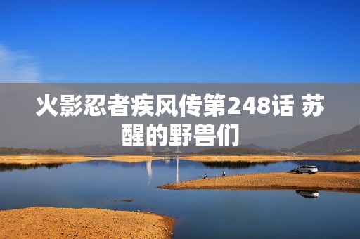 火影忍者疾风传第248话 苏醒的野兽们