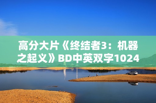 高分大片《终结者3：机器之起义》BD中英双字1024分辨率