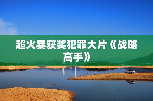 超火暴获奖犯罪大片《战略高手》