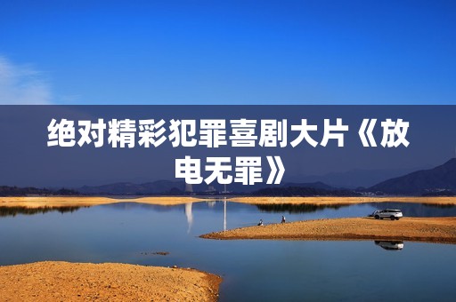 绝对精彩犯罪喜剧大片《放电无罪》
