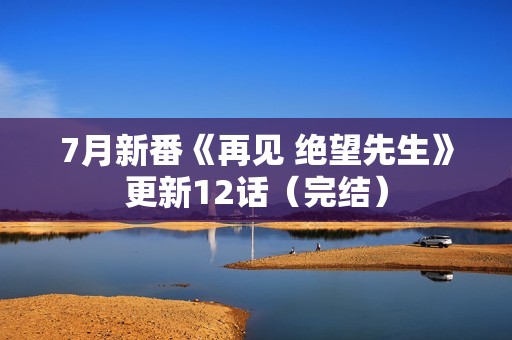 7月新番《再见 绝望先生》更新12话（完结）