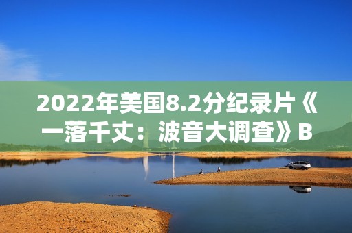 2022年美国8.2分纪录片《一落千丈：波音大调查》BD中英双字