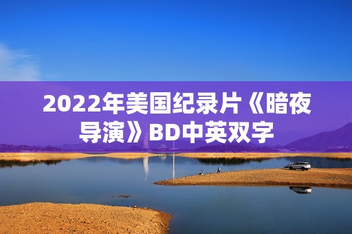 2022年美国纪录片《暗夜导演》BD中英双字