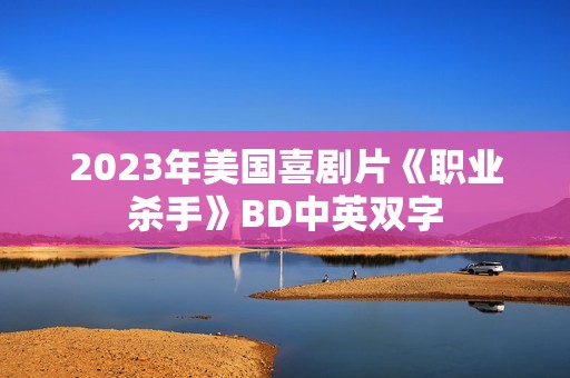 2023年美国喜剧片《职业杀手》BD中英双字