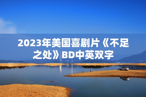 2023年美国喜剧片《不足之处》BD中英双字