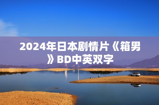 2024年日本剧情片《箱男》BD中英双字