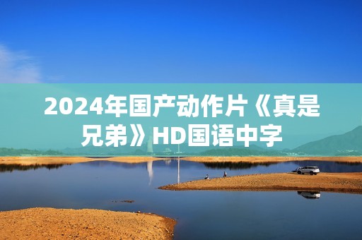 2024年国产动作片《真是兄弟》HD国语中字