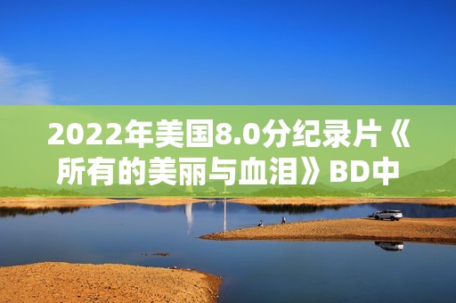 2022年美国8.0分纪录片《所有的美丽与血泪》BD中英双字