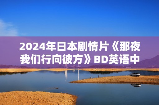 2024年日本剧情片《那夜我们行向彼方》BD英语中字