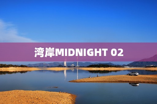 湾岸MIDNIGHT 02