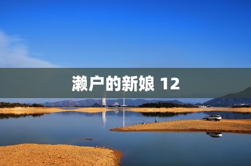 濑户的新娘 12