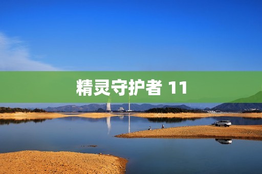 精灵守护者 11