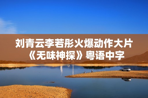刘青云李若彤火爆动作大片《无味神探》粤语中字