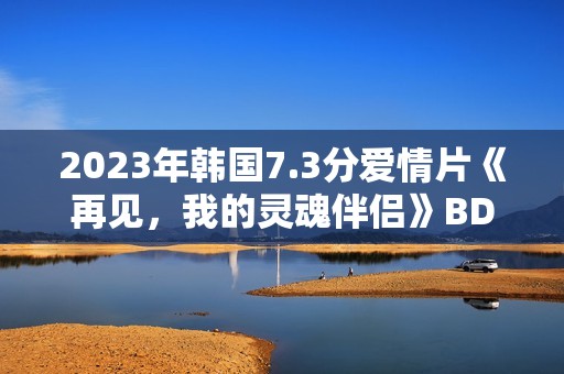 2023年韩国7.3分爱情片《再见，我的灵魂伴侣》BD韩语中字