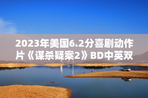 2023年美国6.2分喜剧动作片《谋杀疑案2》BD中英双字