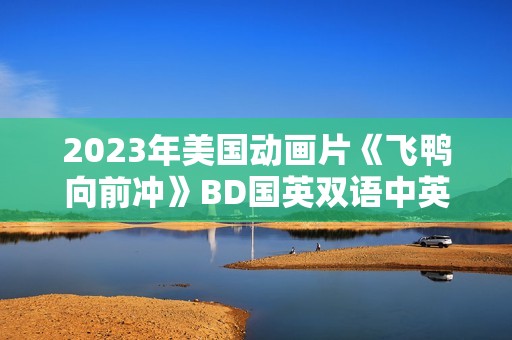 2023年美国动画片《飞鸭向前冲》BD国英双语中英双字