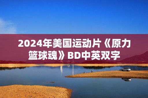 2024年美国运动片《原力篮球魂》BD中英双字