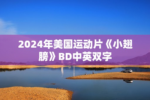 2024年美国运动片《小翅膀》BD中英双字