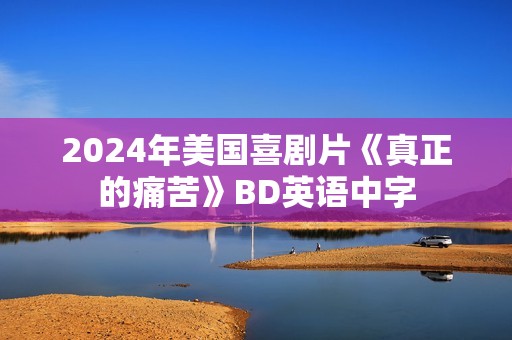 2024年美国喜剧片《真正的痛苦》BD英语中字