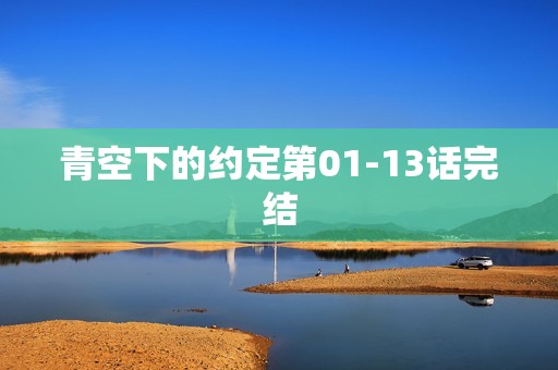 青空下的约定第01-13话完结