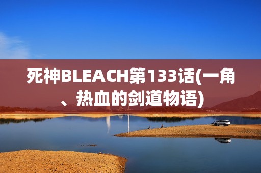 死神BLEACH第133话(一角、热血的剑道物语)