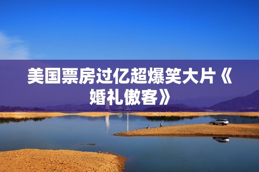 美国票房过亿超爆笑大片《婚礼傲客》
