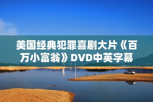 美国经典犯罪喜剧大片《百万小富翁》DVD中英字幕