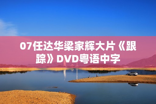 07任达华梁家辉大片《跟踪》DVD粤语中字