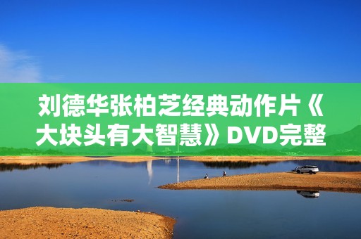 刘德华张柏芝经典动作片《大块头有大智慧》DVD完整版