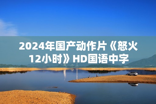 2024年国产动作片《怒火12小时》HD国语中字