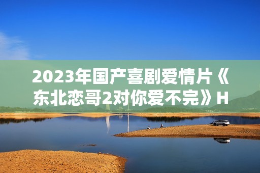 2023年国产喜剧爱情片《东北恋哥2对你爱不完》HD国语中字