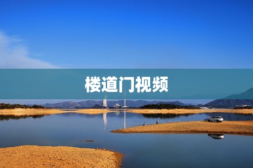 楼道门视频
