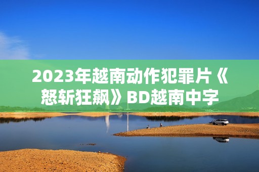 2023年越南动作犯罪片《怒斩狂飙》BD越南中字